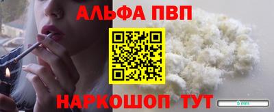 индика Моздок