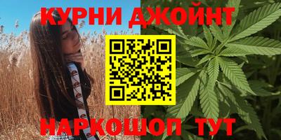 индика Моздок