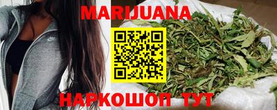 индика Моздок