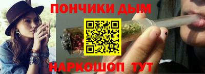 индика Моздок