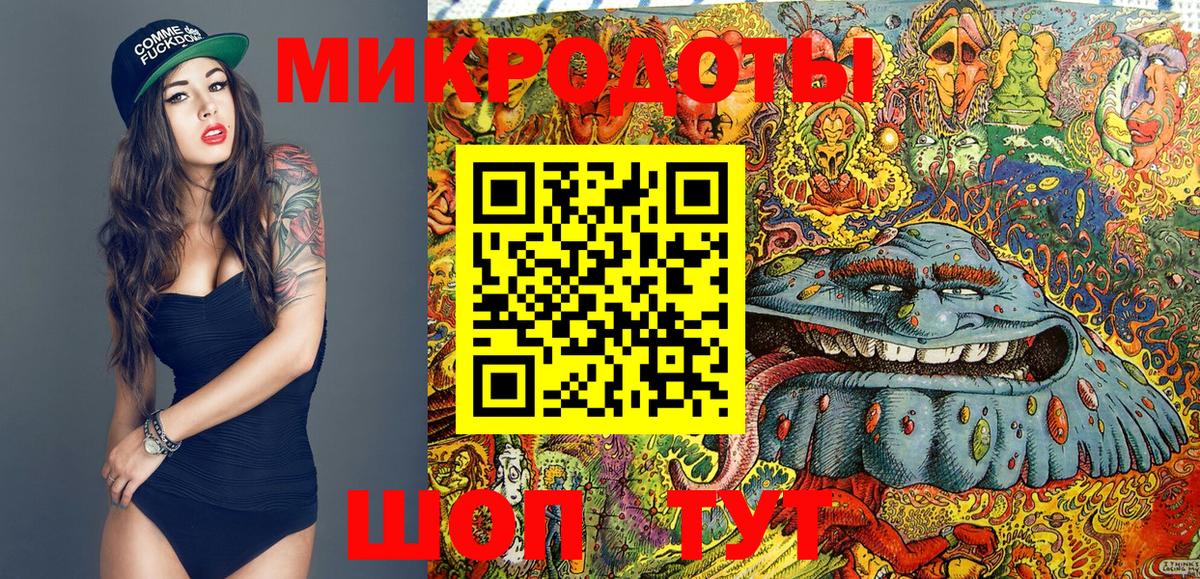 Электрогорск  Галлюциногенные грибы Psilocybe  Вход с VPN 